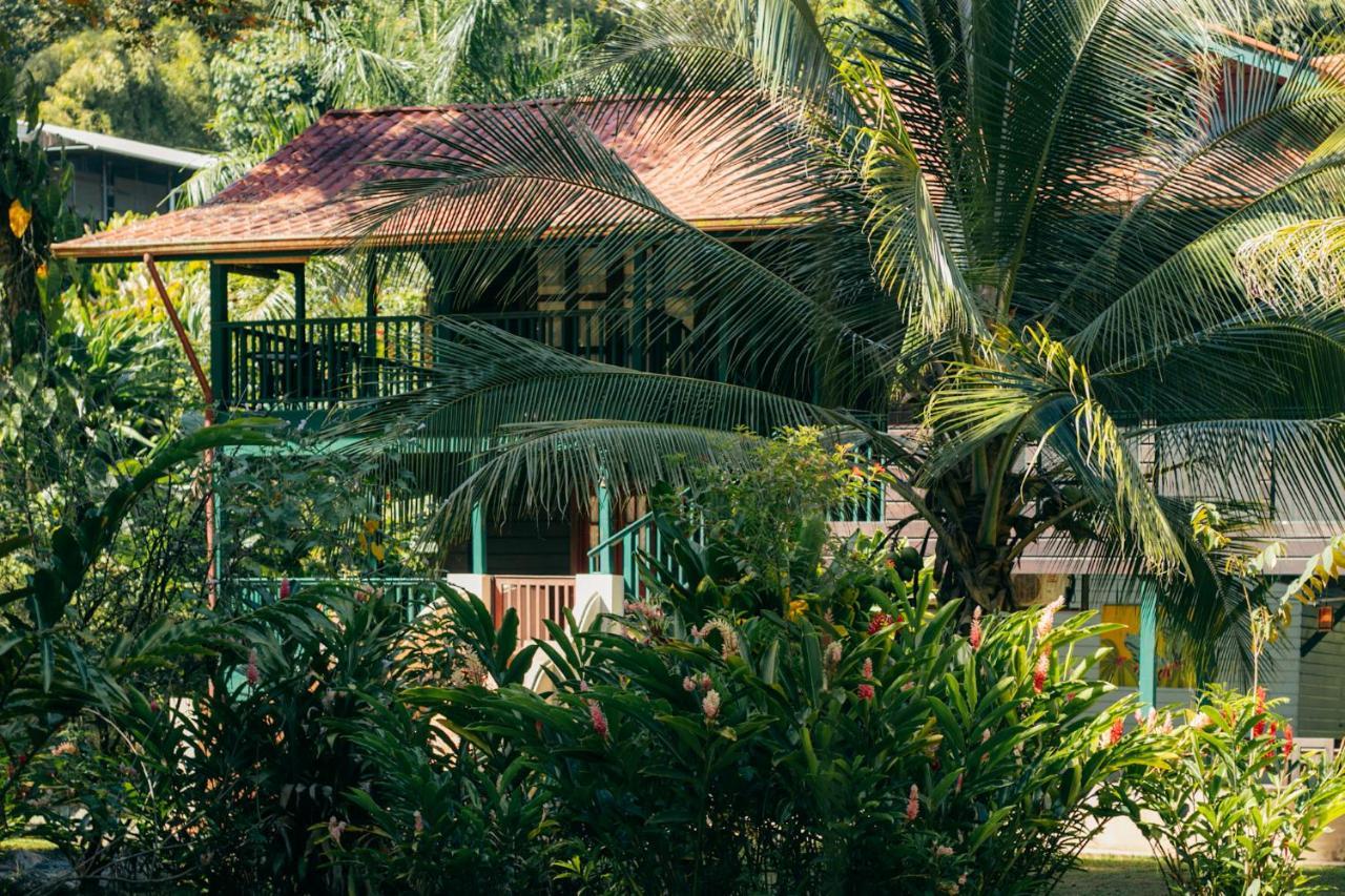 Bed and Breakfast Casa De Mono Bocas à Big Creek Extérieur photo