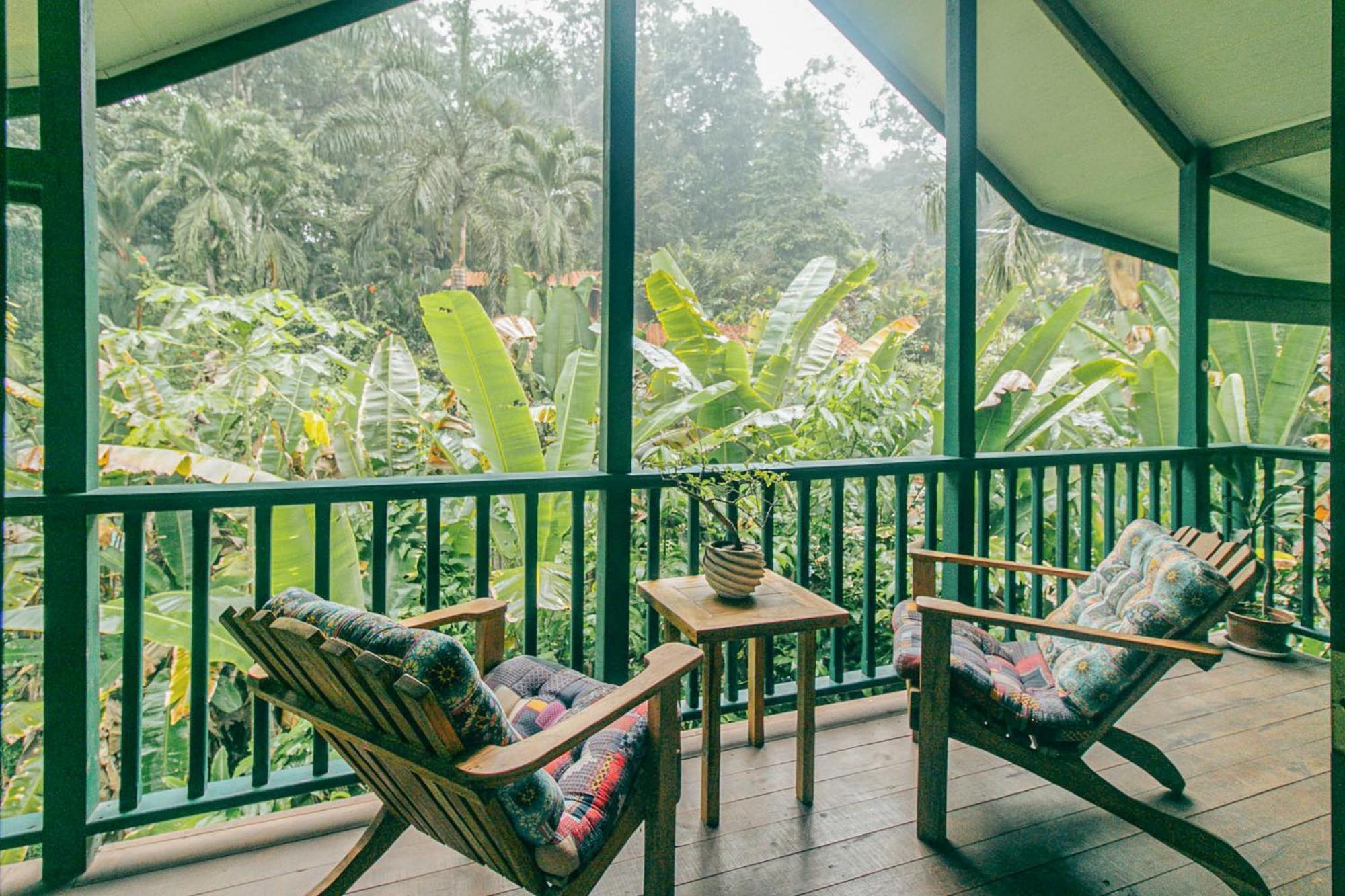 Bed and Breakfast Casa De Mono Bocas à Big Creek Extérieur photo