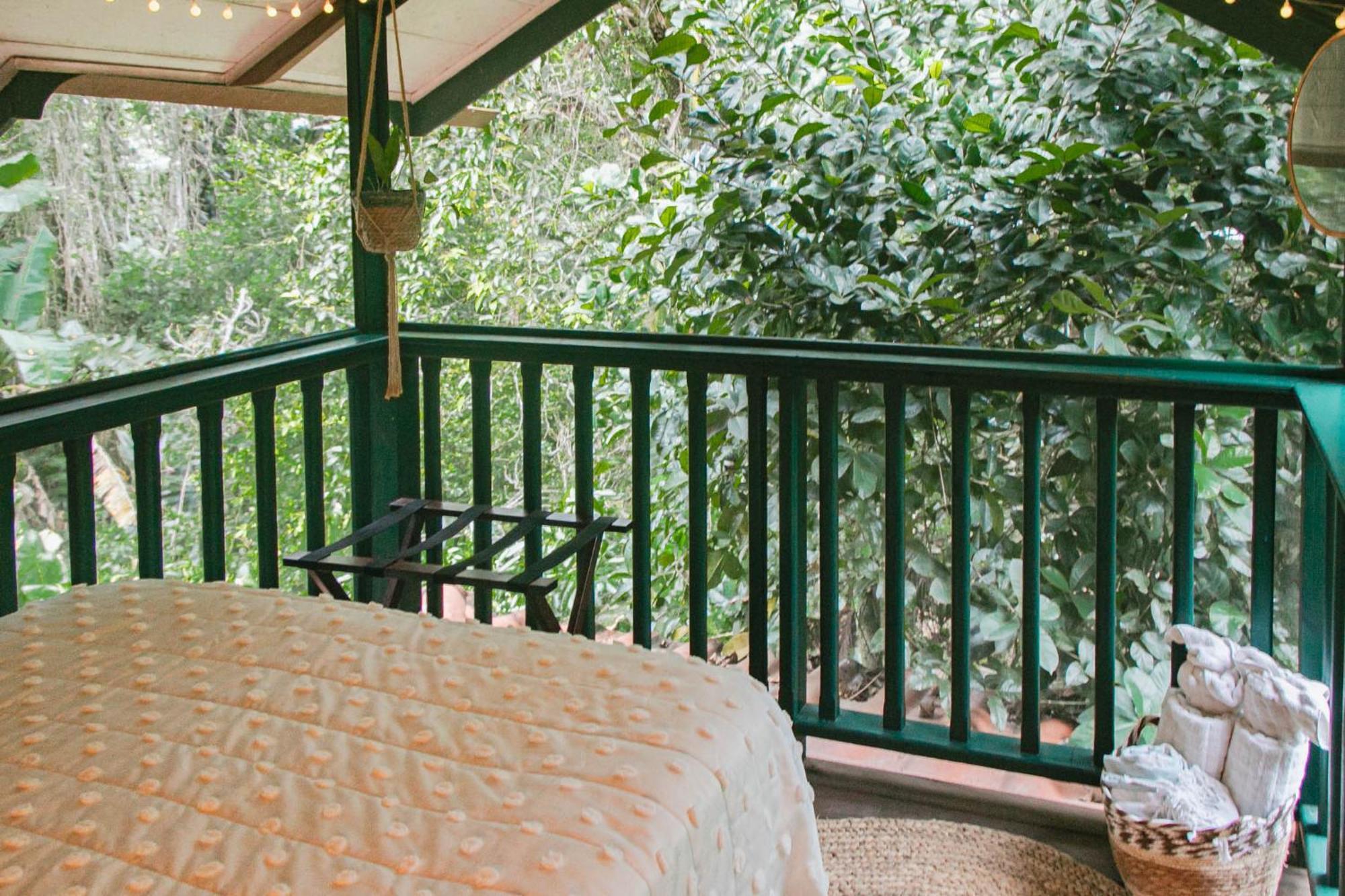 Bed and Breakfast Casa De Mono Bocas à Big Creek Extérieur photo