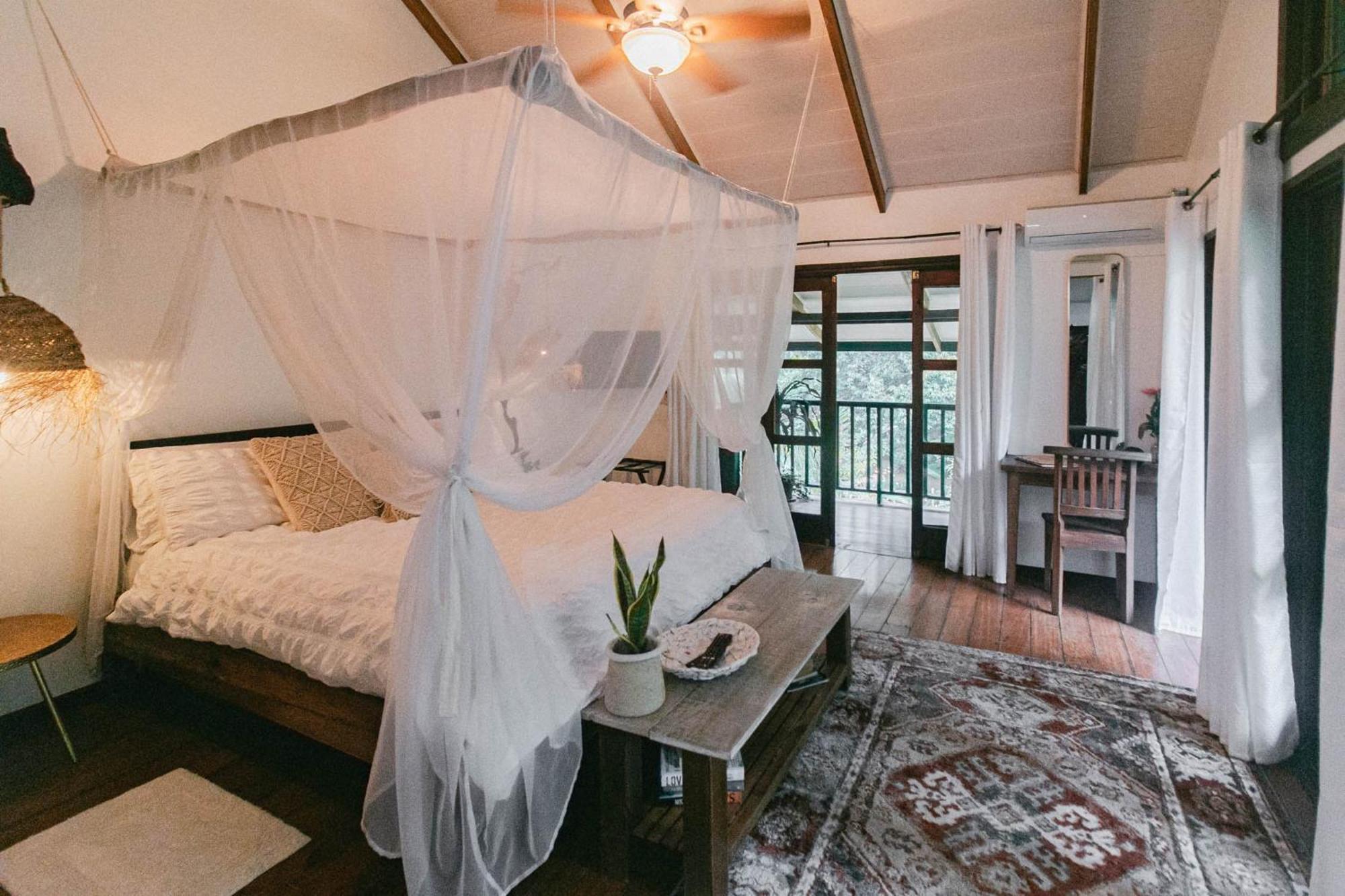 Bed and Breakfast Casa De Mono Bocas à Big Creek Chambre photo