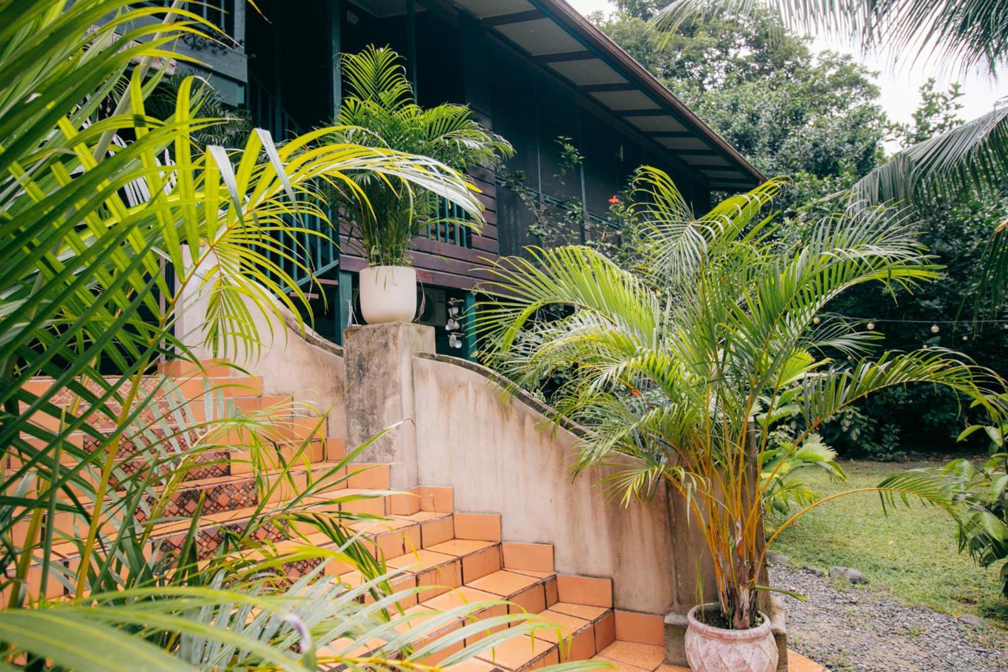 Bed and Breakfast Casa De Mono Bocas à Big Creek Extérieur photo