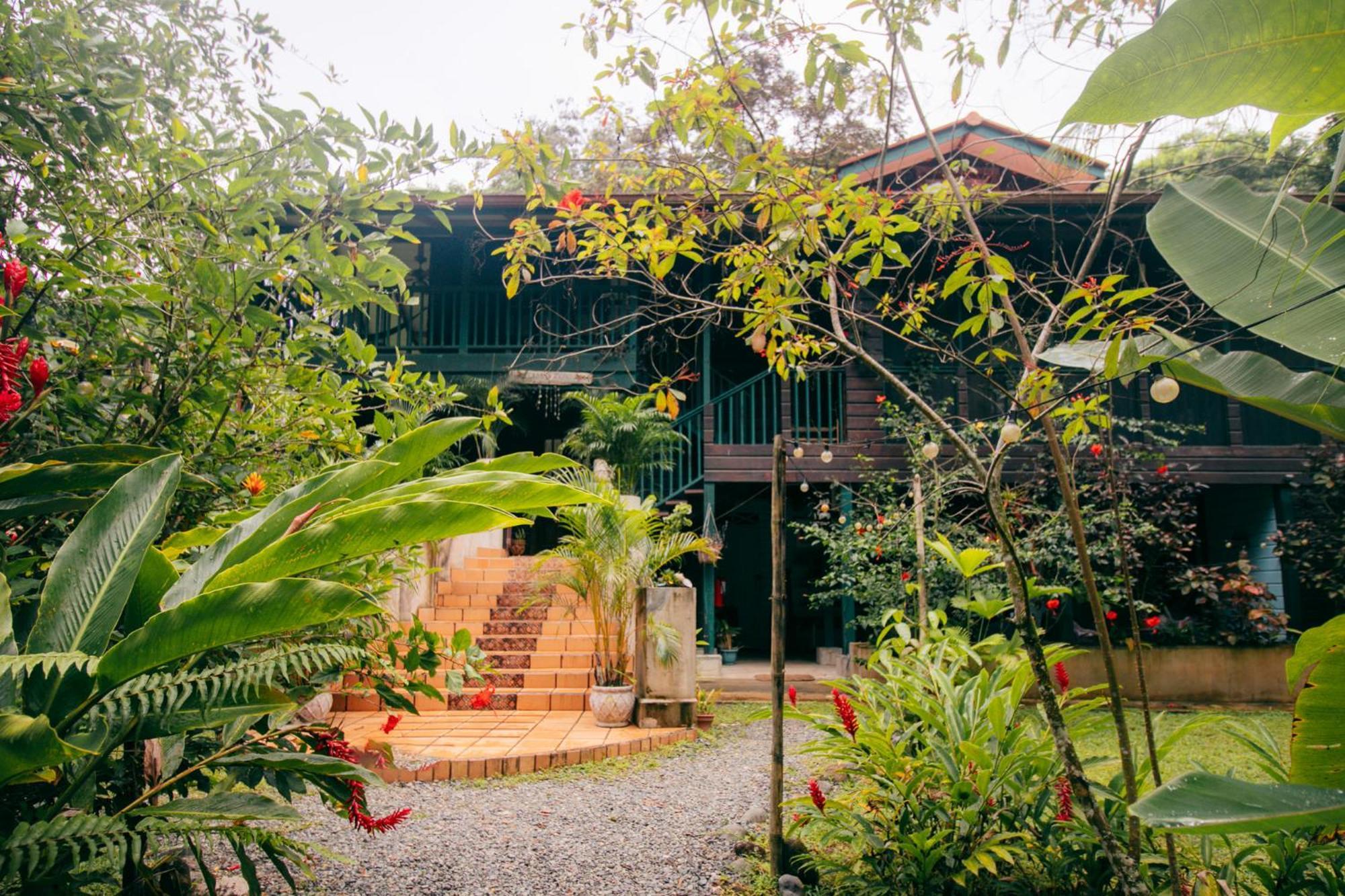 Bed and Breakfast Casa De Mono Bocas à Big Creek Extérieur photo