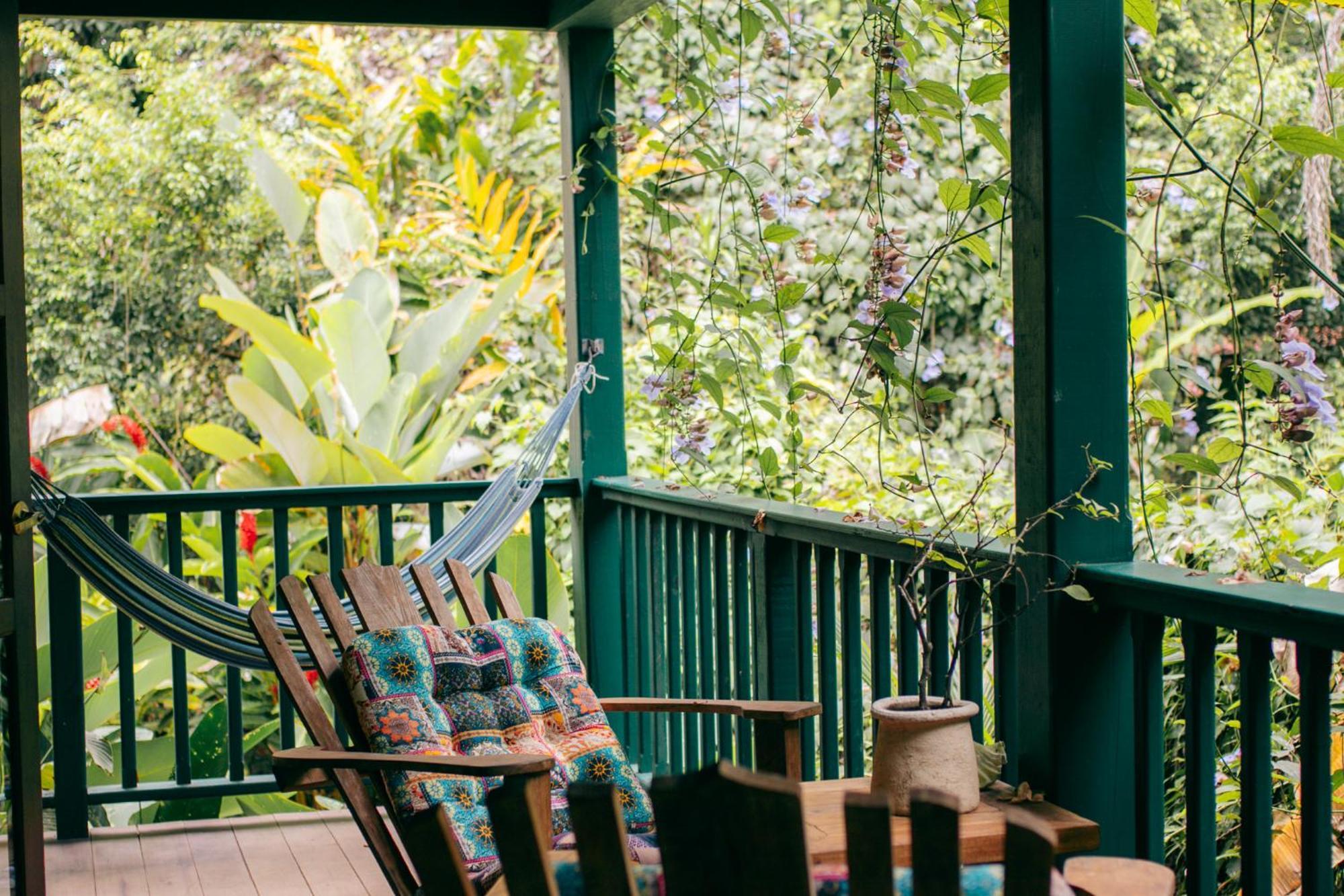 Bed and Breakfast Casa De Mono Bocas à Big Creek Extérieur photo
